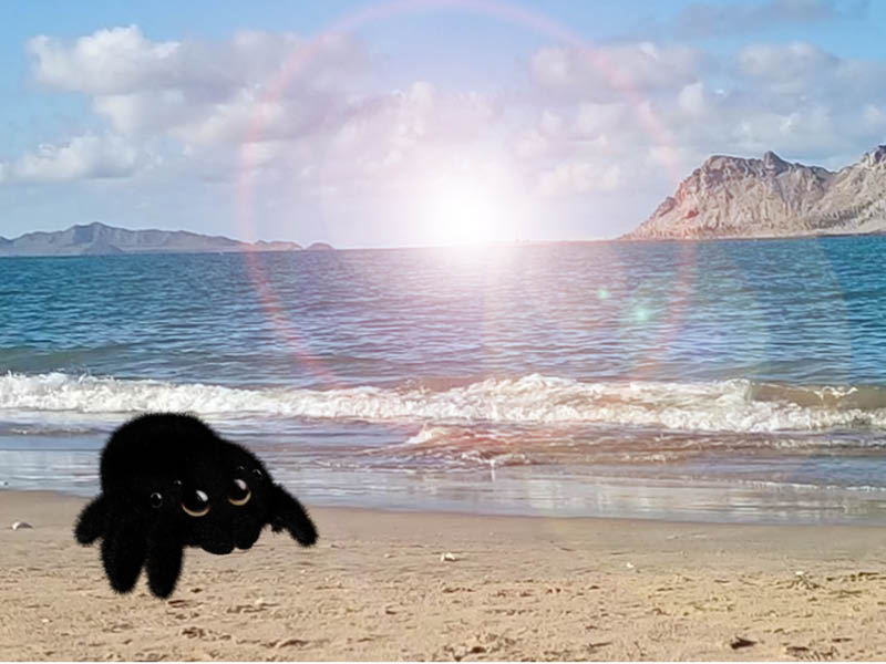Hand hält ND Filter vor Homer-Figur, drumherum überbelichtet